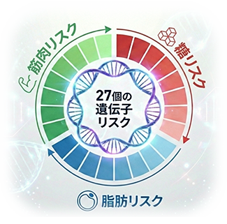 遺伝子リスクの図